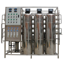 Reverse Osmosis 1000lph Two Stage RO and EDI Deionized RO Water Purifier Treatment Plant Machine